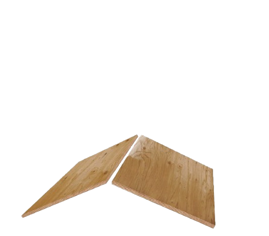 Ritz Home Run Exteriors Images